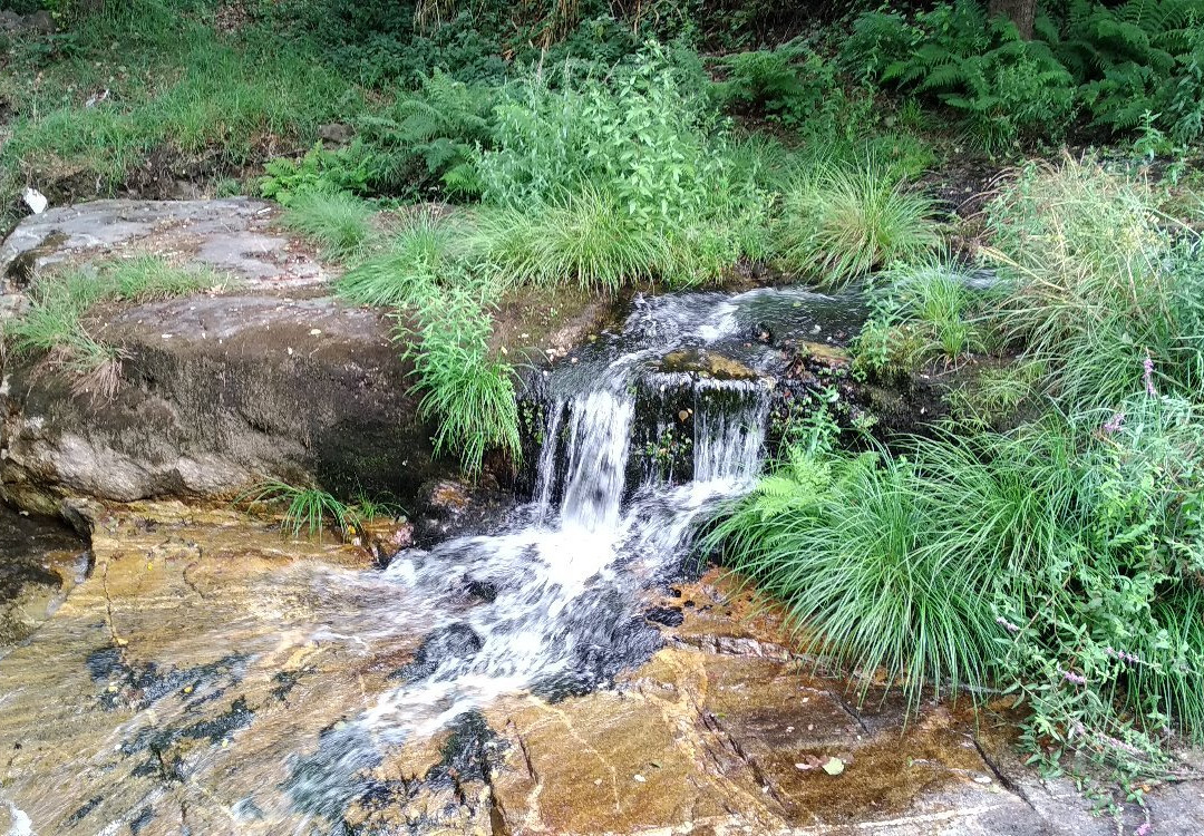 Senda fluvial del rio Baina景点图片