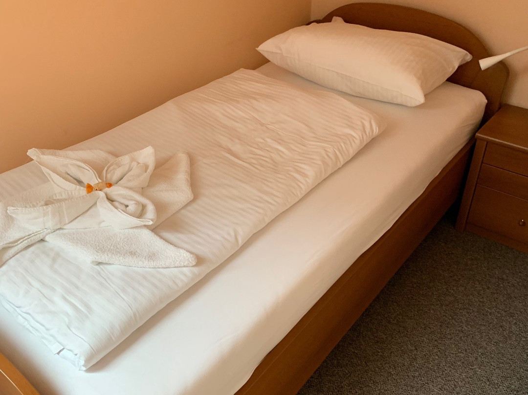 Vila Demetrovic主图