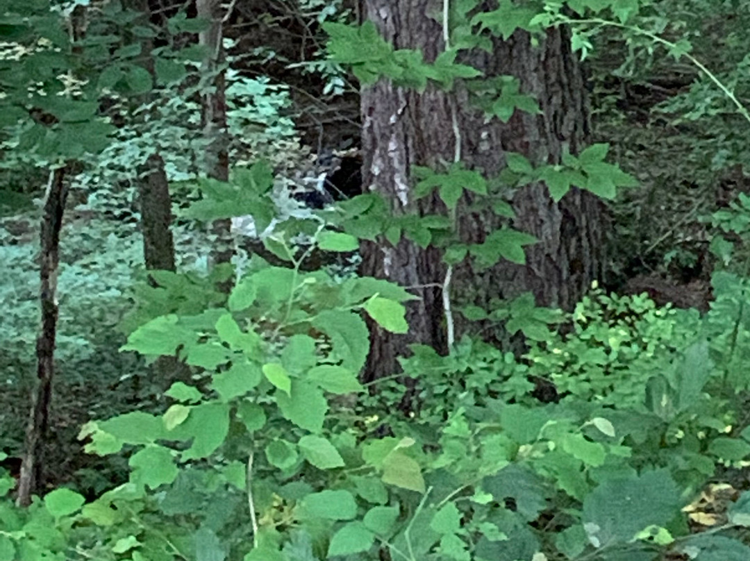 Wester Farm Bed and Breakfast主图