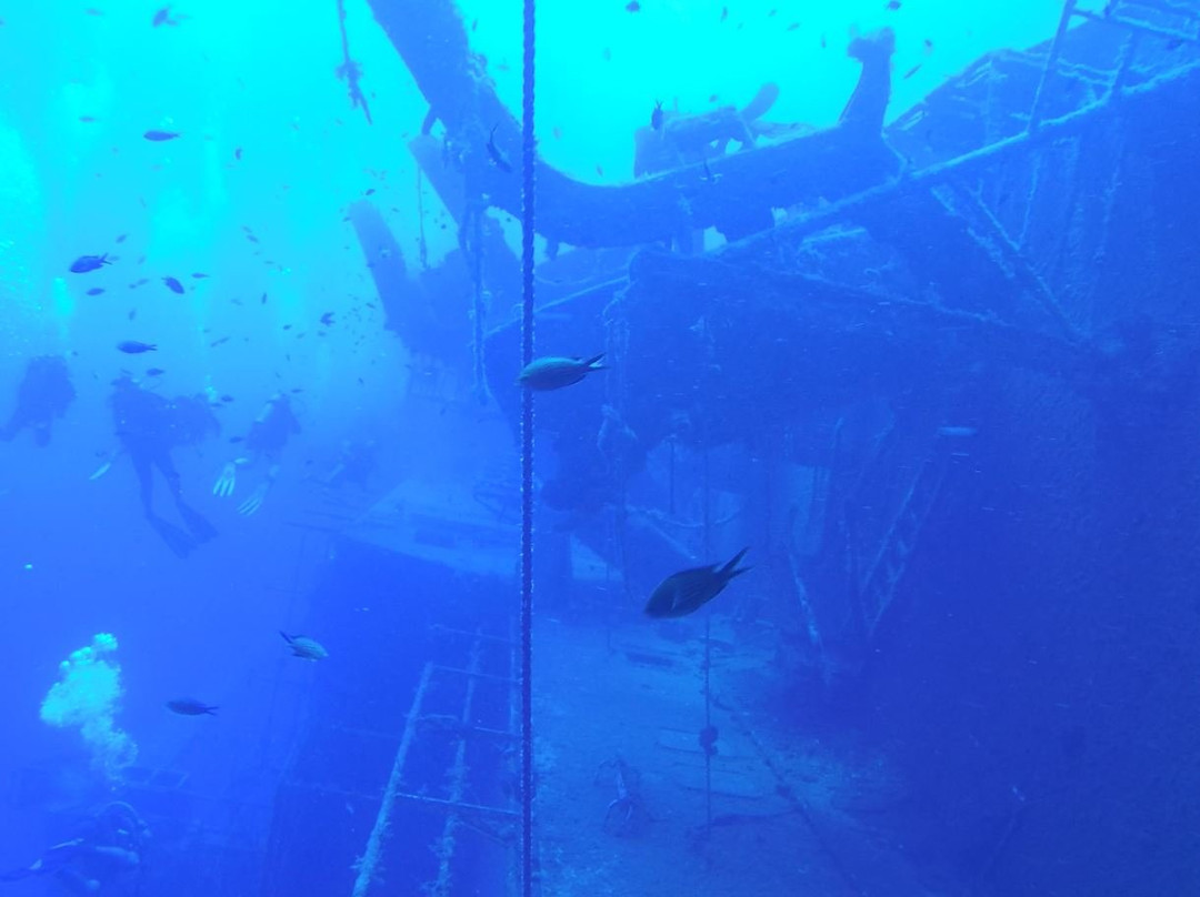 Cyprus Underwater Explorers-Lapta必去景点