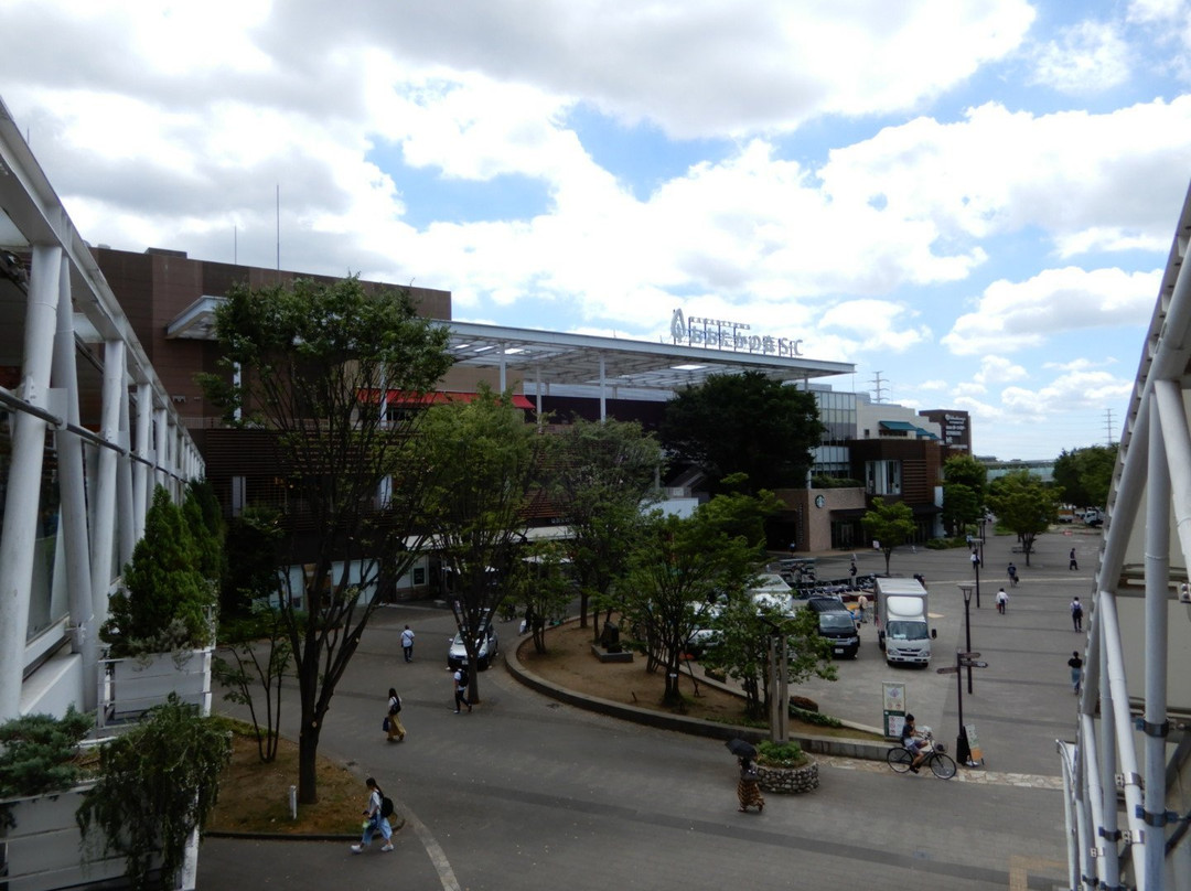 Nagareyama Otakanomori S･C-流山市必去景点