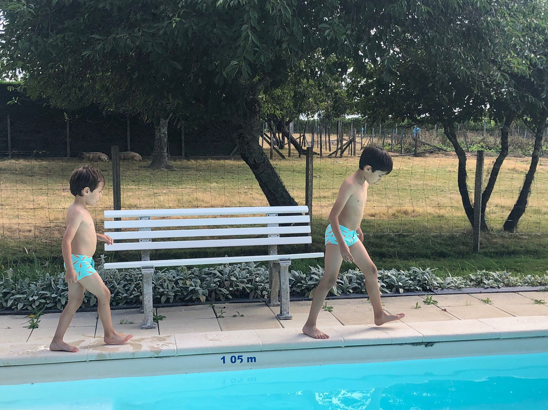 Domaine des Tilleuls主图