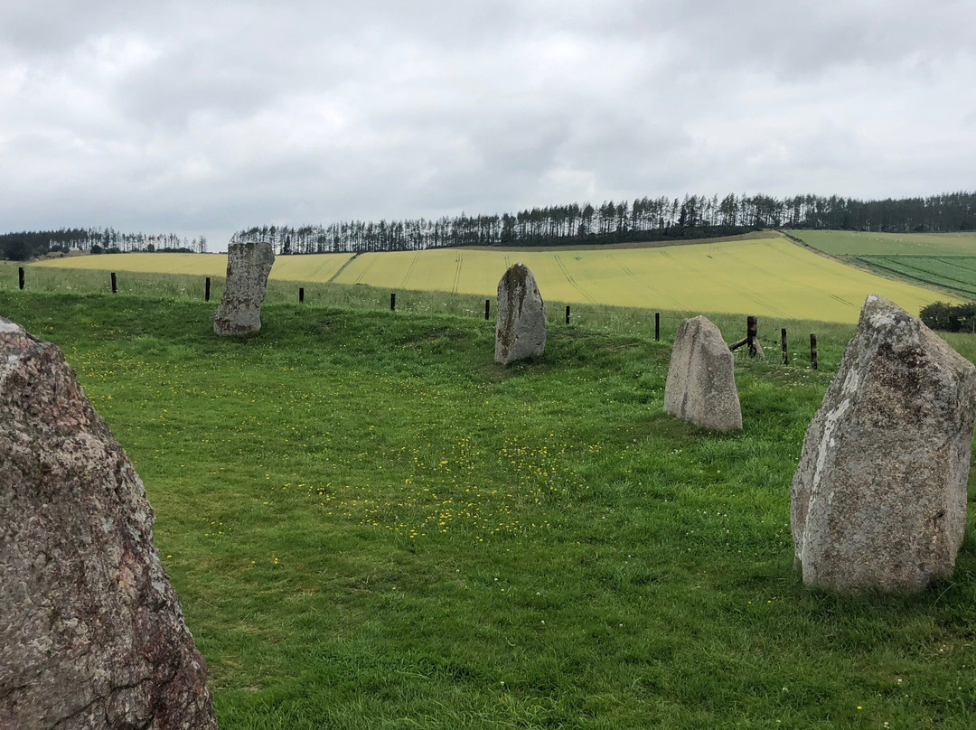 East Aquhorthies Stone Circle景点图片
