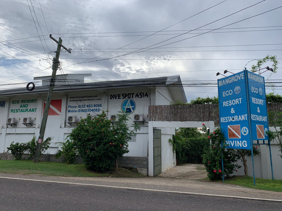 Mangrove Eco Resort主图