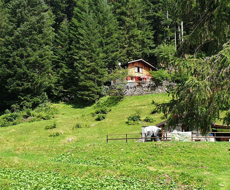 Albergo Ristorante  La Genzianella