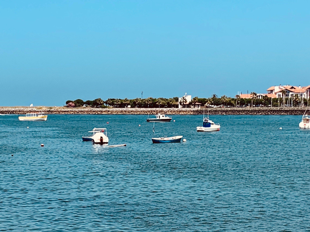 Capitanía Puerto Deportivo de Hondarribia景点图片