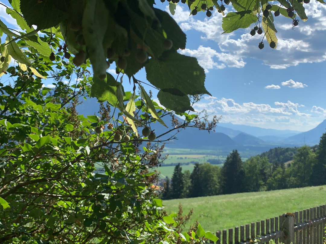 Gasthof Zierer主图