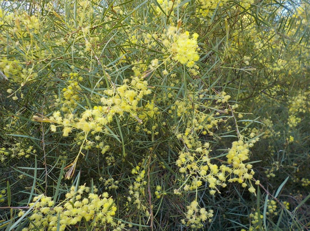 Chris Gahan Reserve-Windsor必去景点
