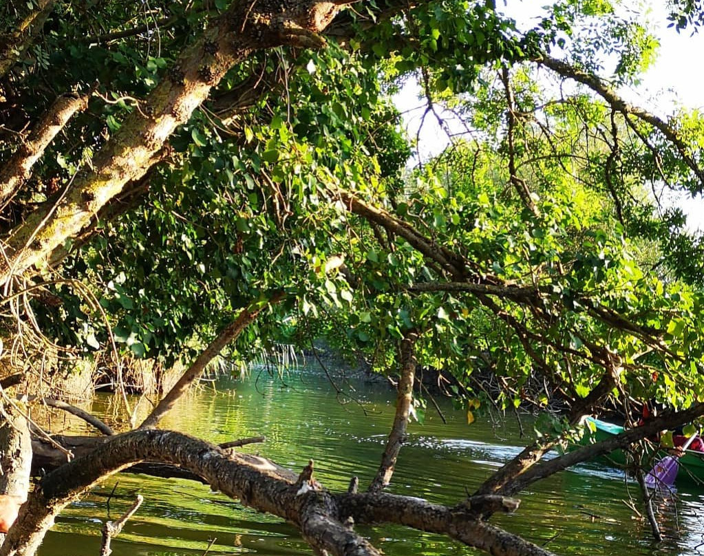 Pôle Nautique-Notre Dame de Monts必去景点