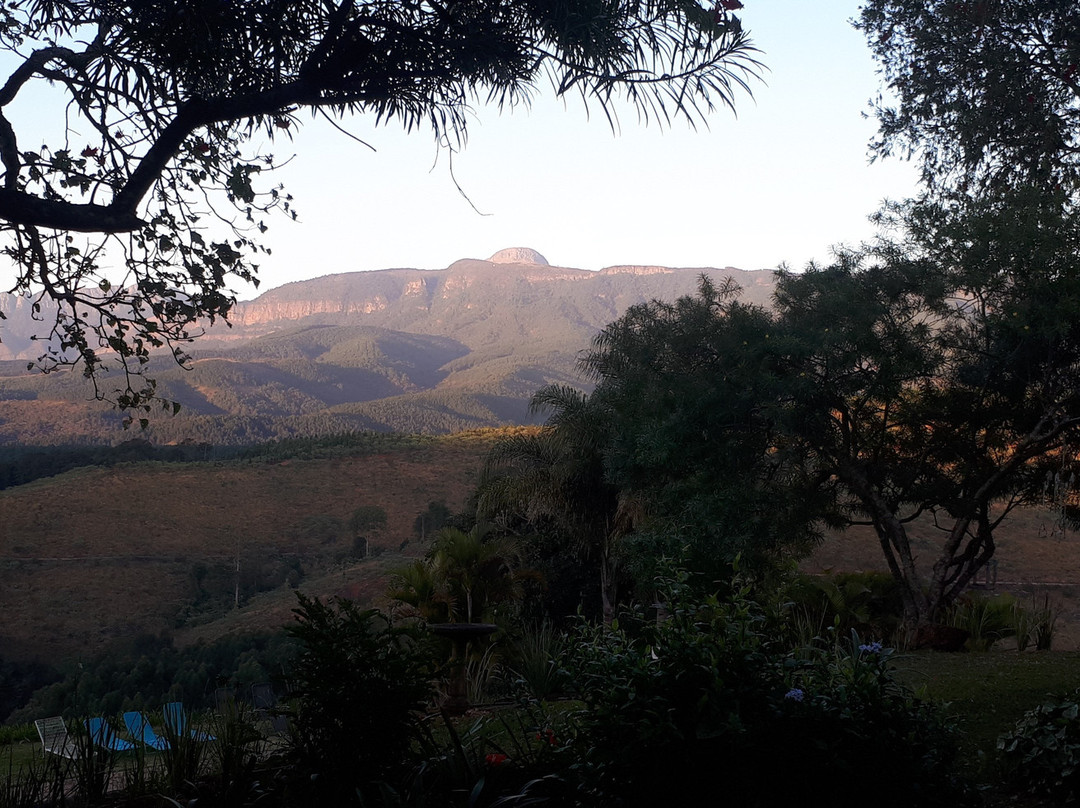 Granny Dot's Country Spot主图