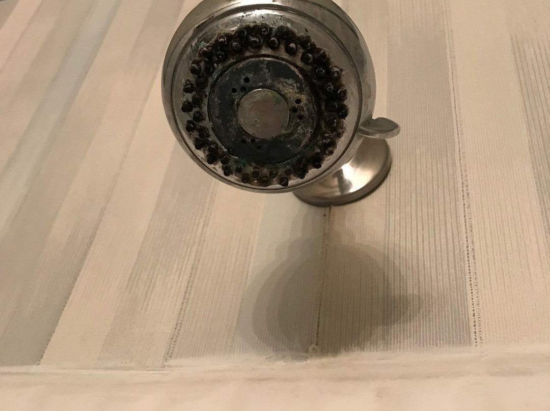 The Cove of Lake Geneva主图