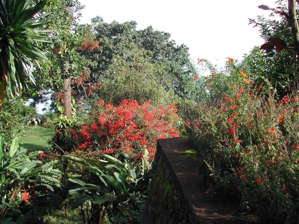 Orchids Safari Club主图