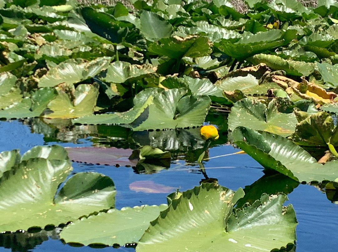 Sky Lakes Wilderness Adventures-Chiloquin必去景点