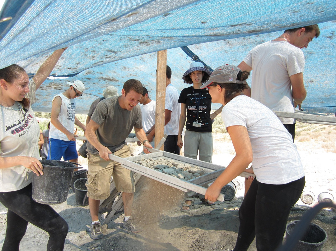 Dig For A Day — Archaeological Seminars Institute-耶路撒冷必去景点