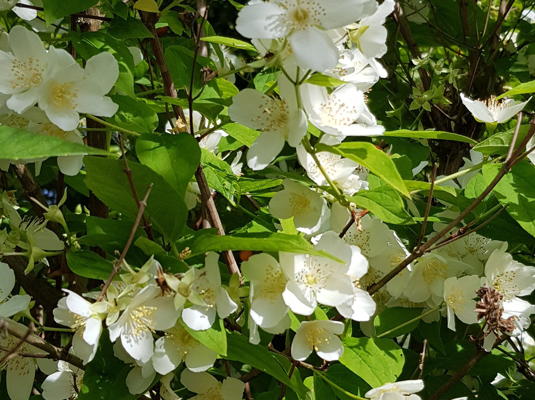 Casa da Azenha主图