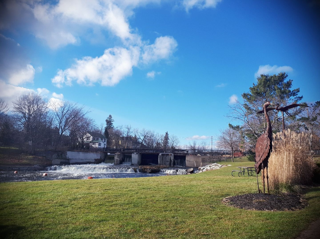 Sculpture Park景点图片