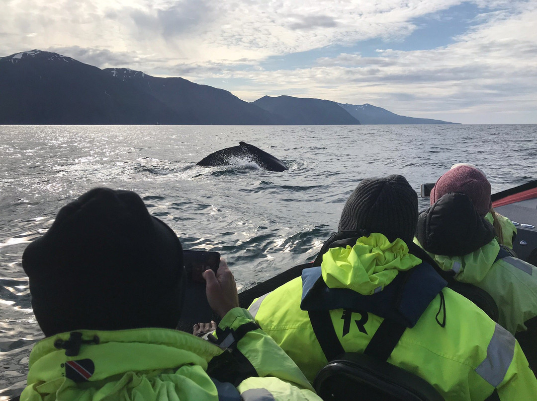 Husavik Adventures-胡萨维克必去景点