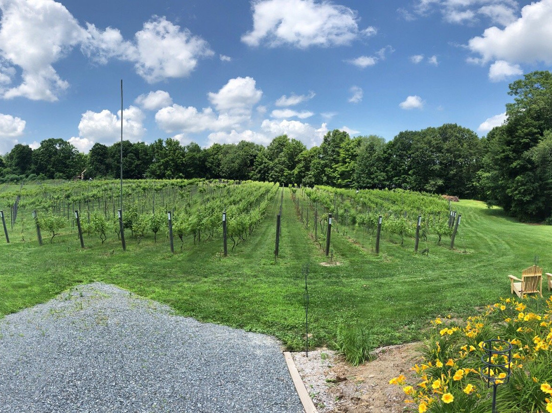 Squamscott Vineyard & Winery-Newfields必去景点