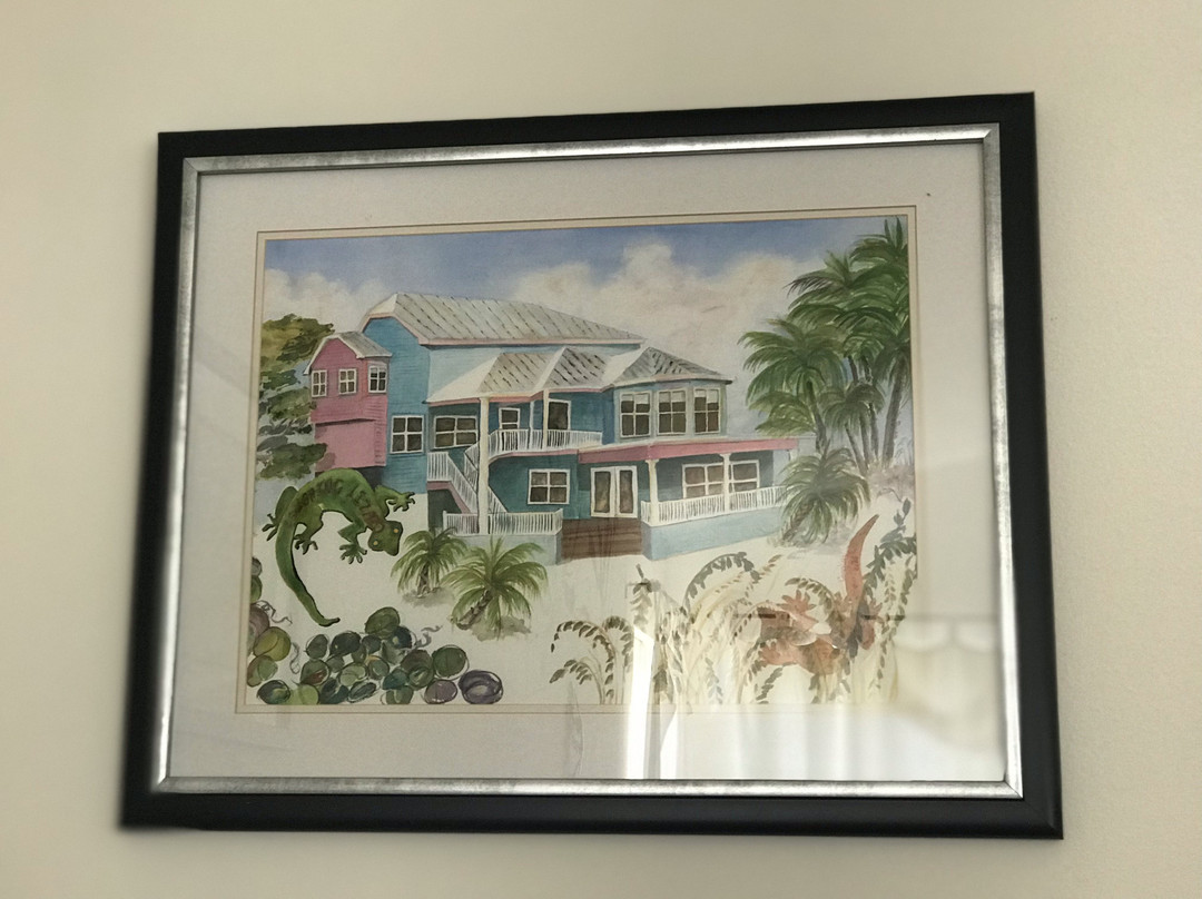 Laughing Lizard主图