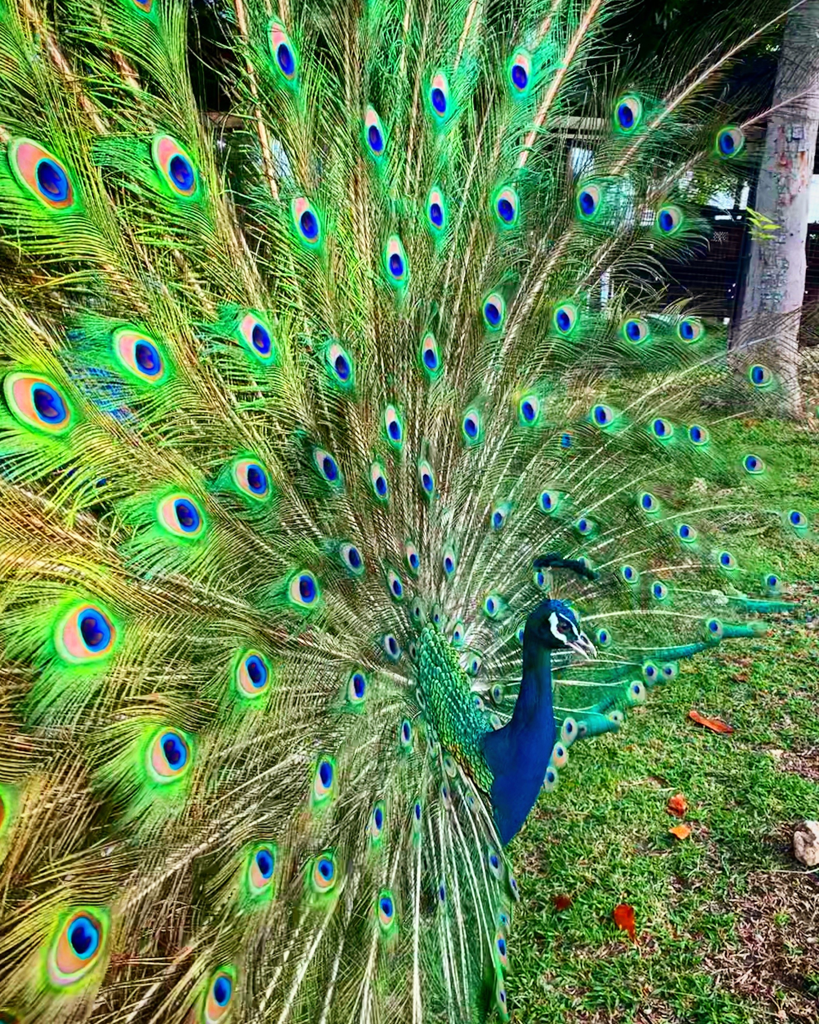 Ultra Winds Mountain Resort-浴室