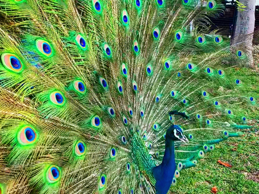 Ultra Winds Mountain Resort主图