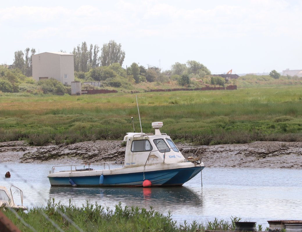 Wat Tyler Country Park景点图片