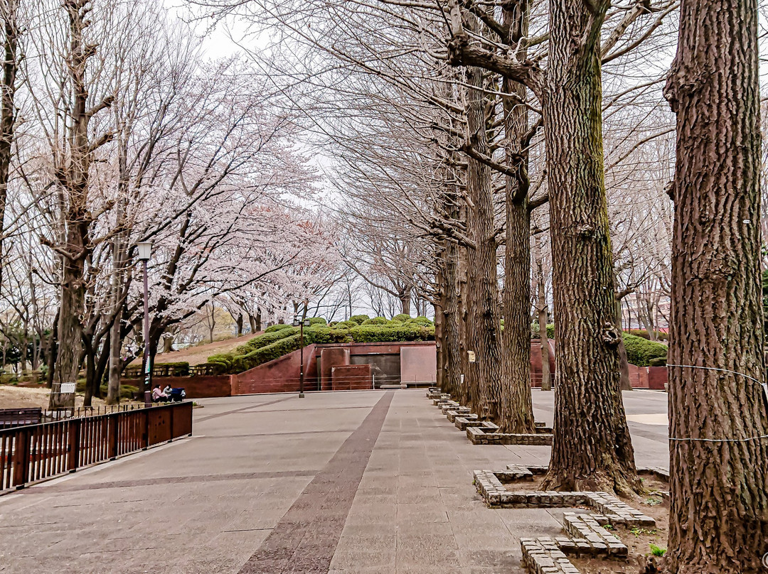 Kodaira City Central Park景点图片