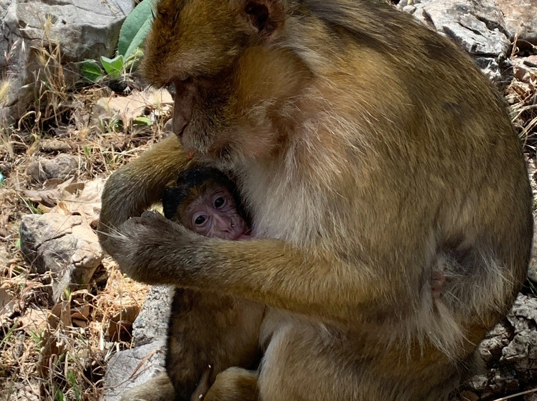 Viajes Baratos Marruecos-非斯必去景点
