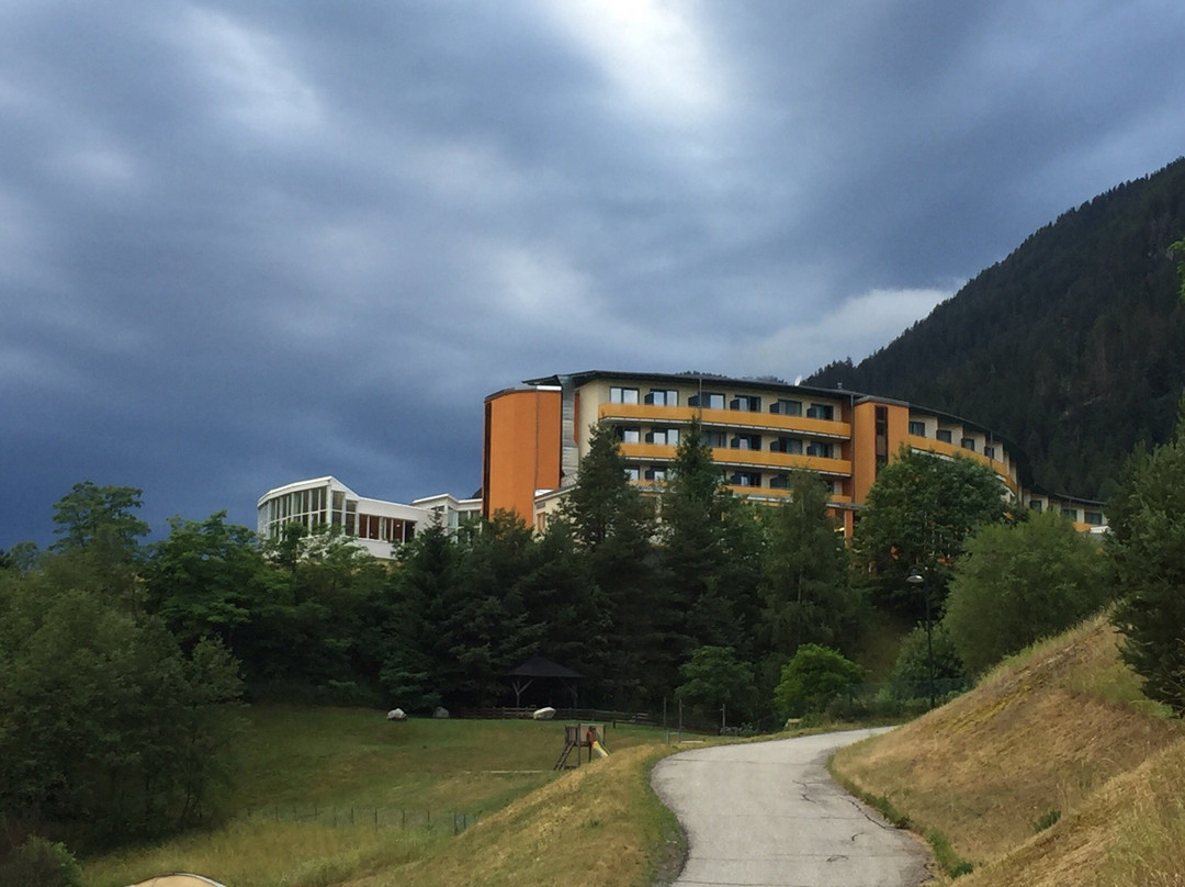 Vivea Hotel Bad Bleiberg主图