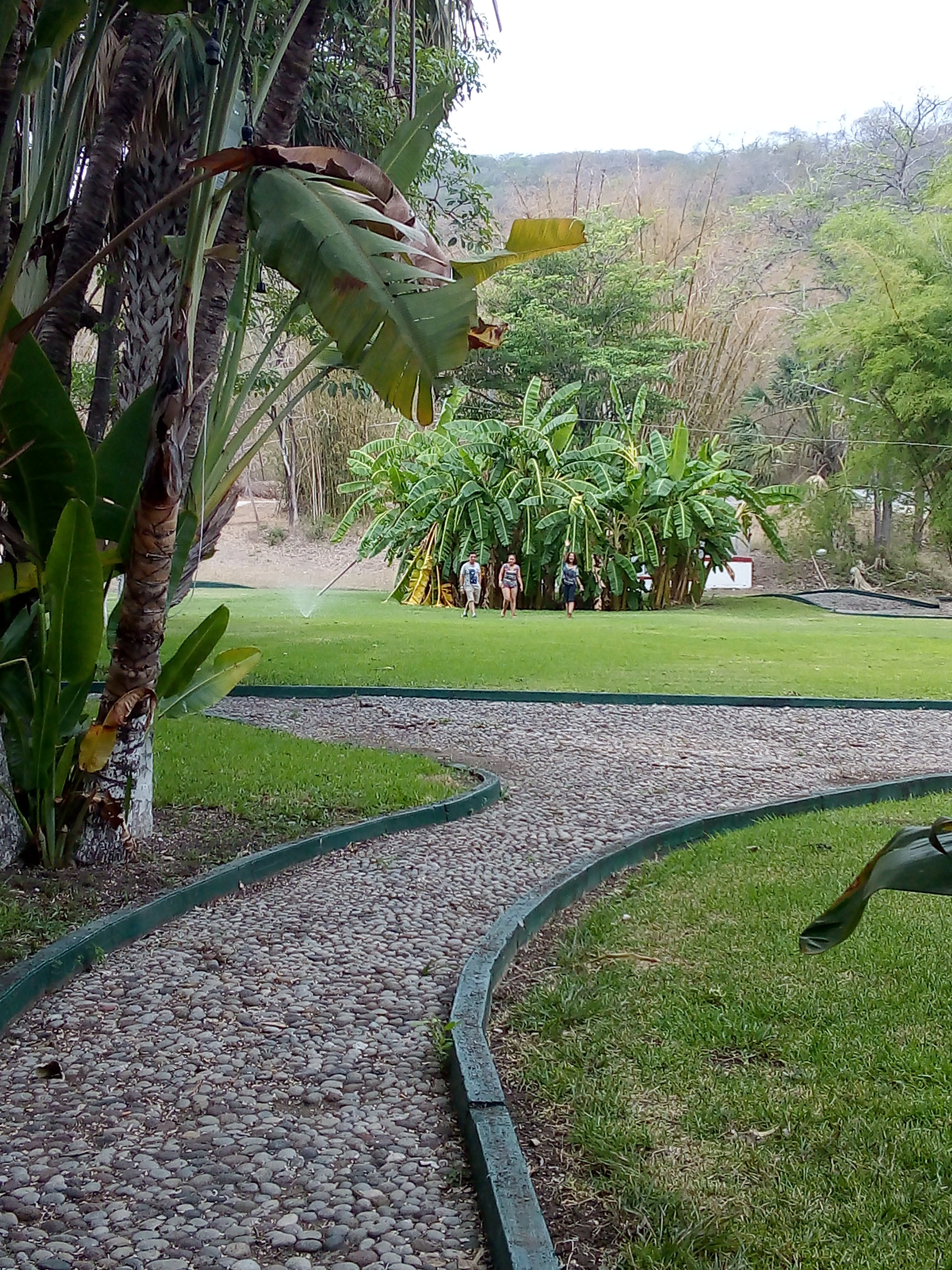 Hotel Spa Taninul-官方