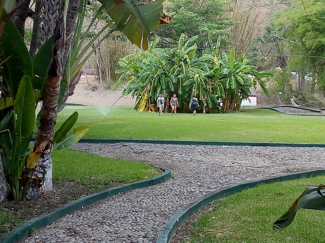 Hotel Spa Taninul主图