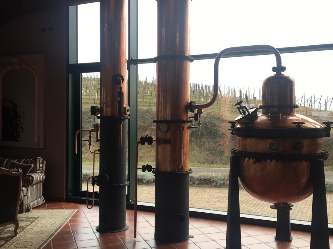 Distillerie Berta景点图片
