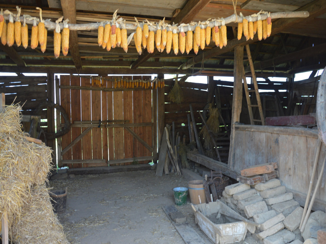 Open-air museum Rochus景点图片