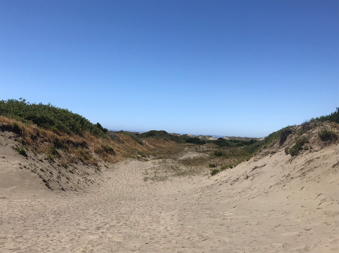 Ma-le'l Dunes Cooperative Management Area景点图片