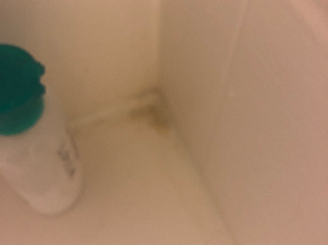 Hilton Garden Inn Jackson/Flowood主图