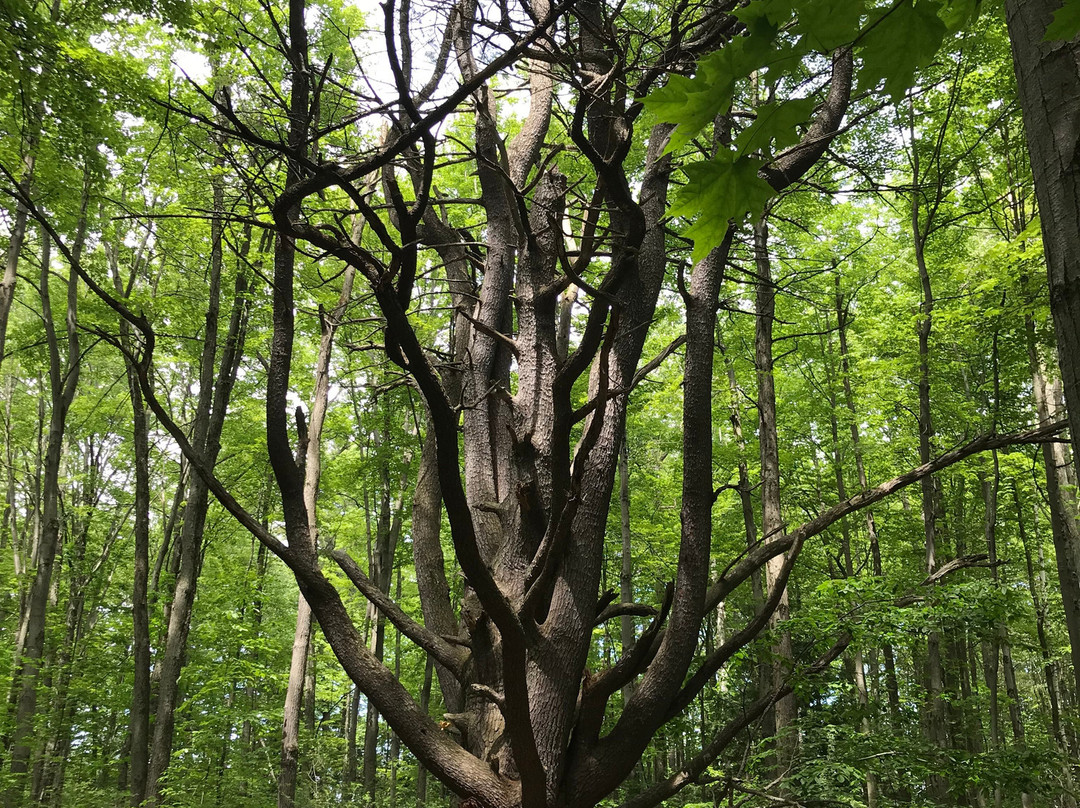 Red Rocks Park-南伯灵顿必去景点