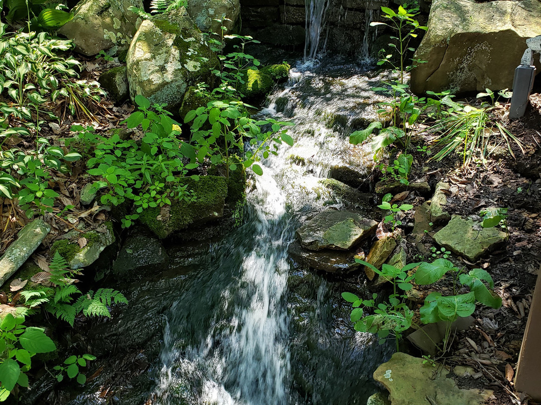 Seven Springs Mountain Resort主图