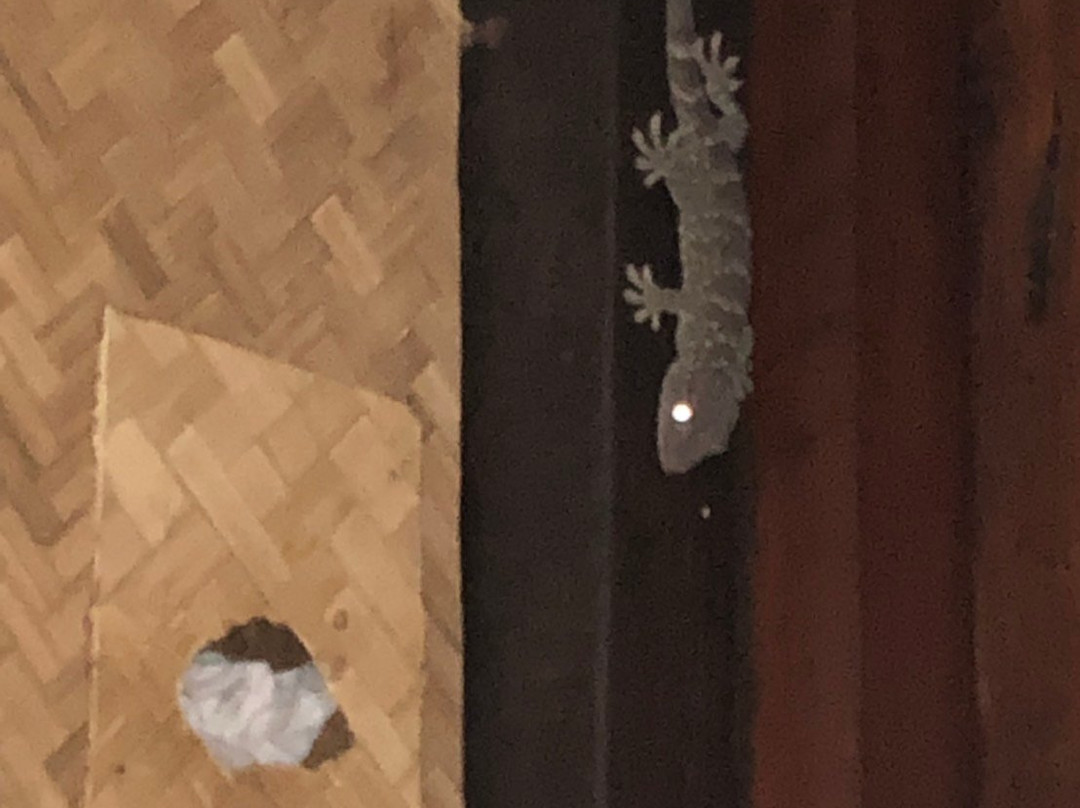 塔尼塔度假酒店主图