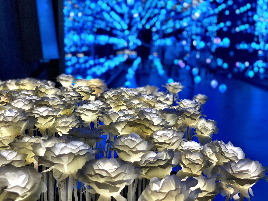 Suyanggae Light Tunnel-丹阳郡必去景点