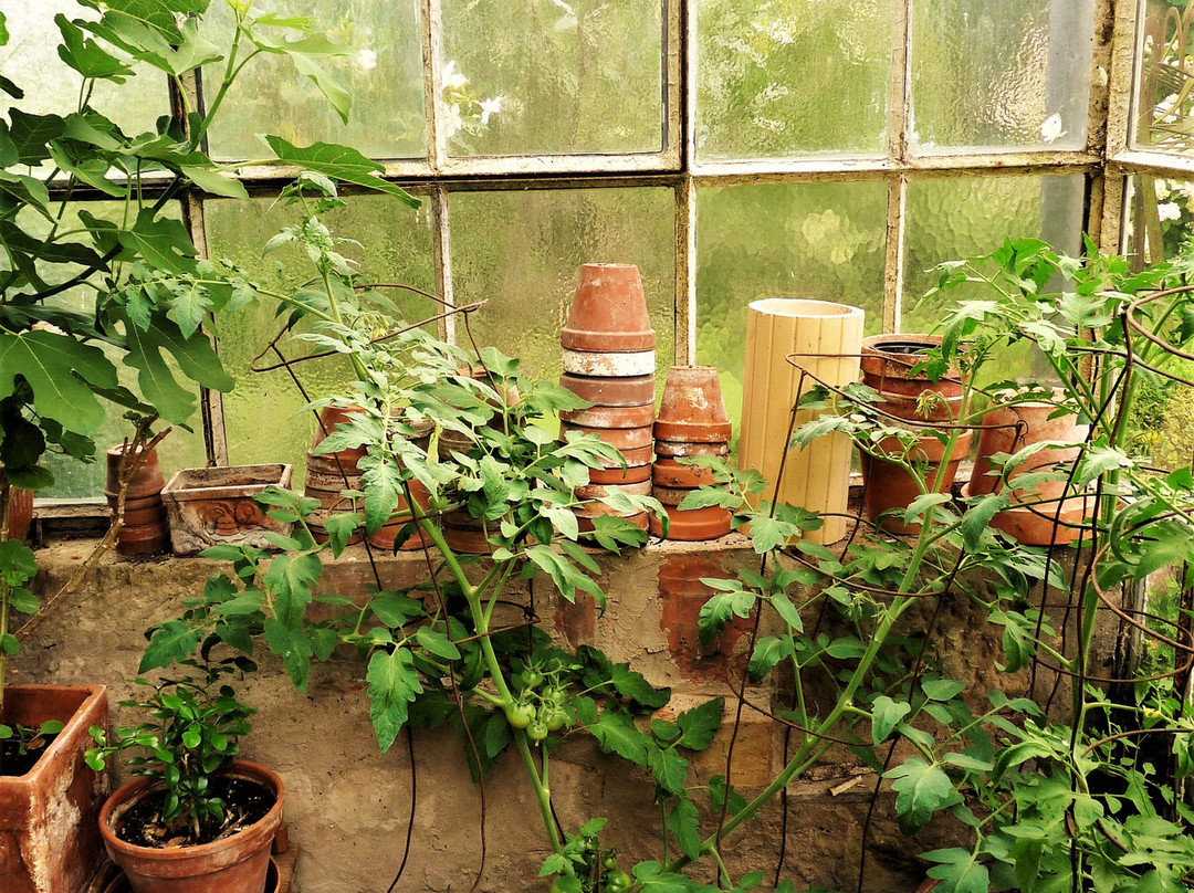 Jardin De La Ferme Bleue景点图片