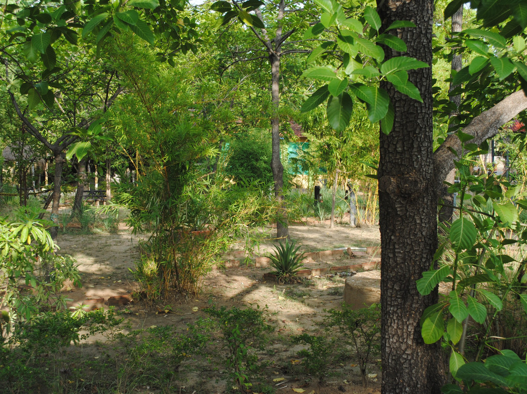 Pug Mark Resort主图