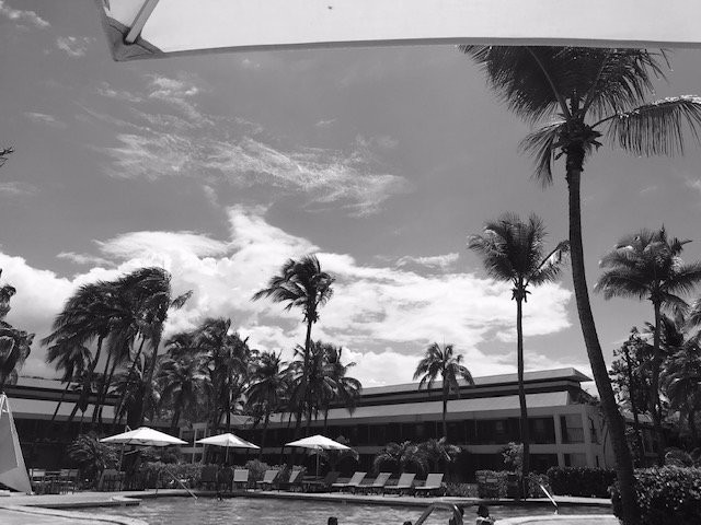 Copamarina Beach Resort & Spa主图