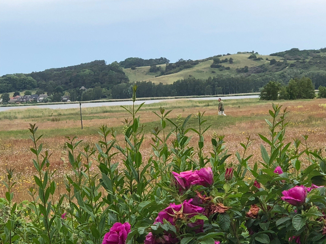 Furst Jaromar Hotel Resort & Spa主图