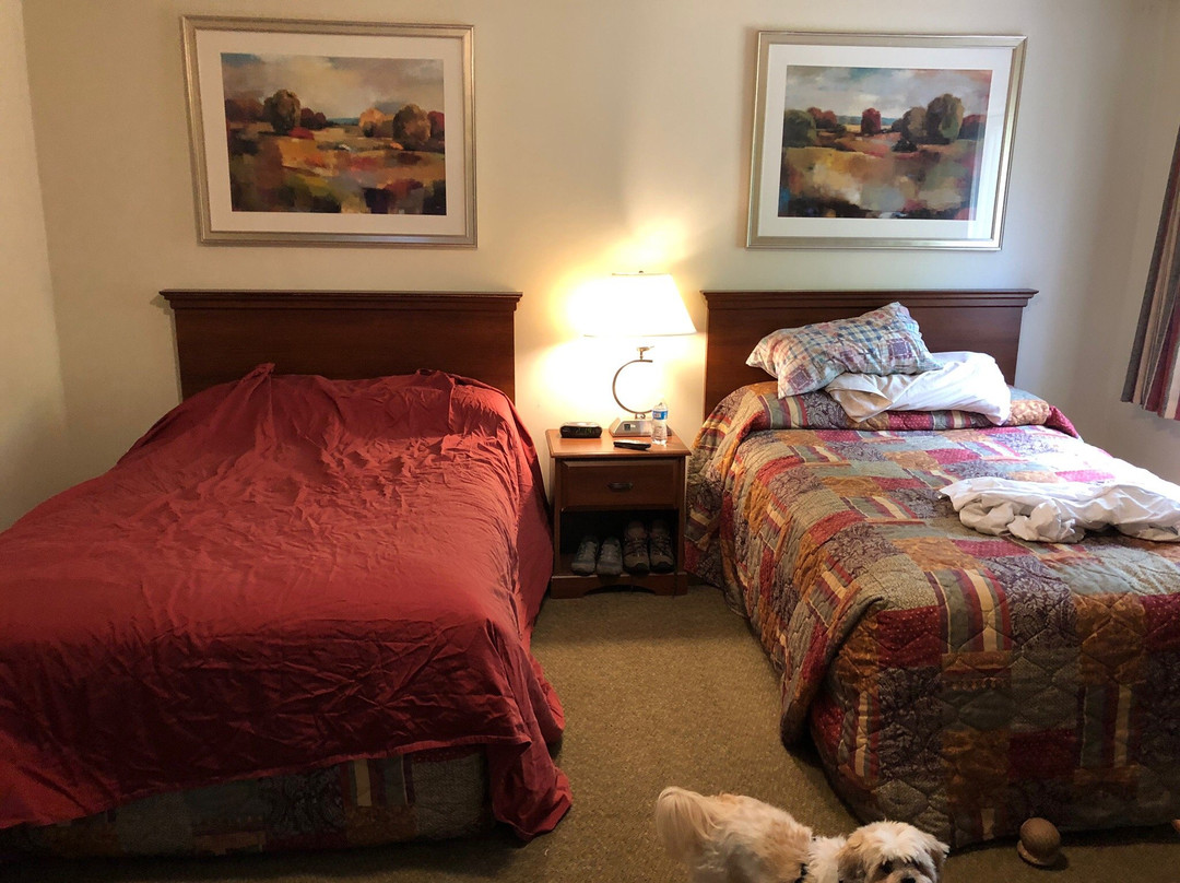 The Upper Pass Lodge主图