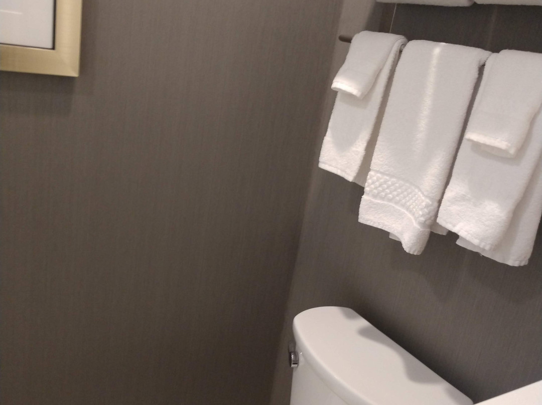 Fairfield by Marriott Inn & Suites Grand Mound Centralia主图