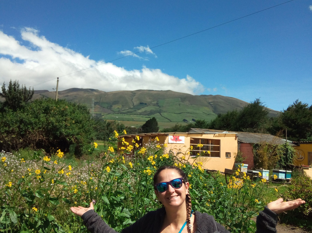 Bee Farm Shunku-Machachi必去景点