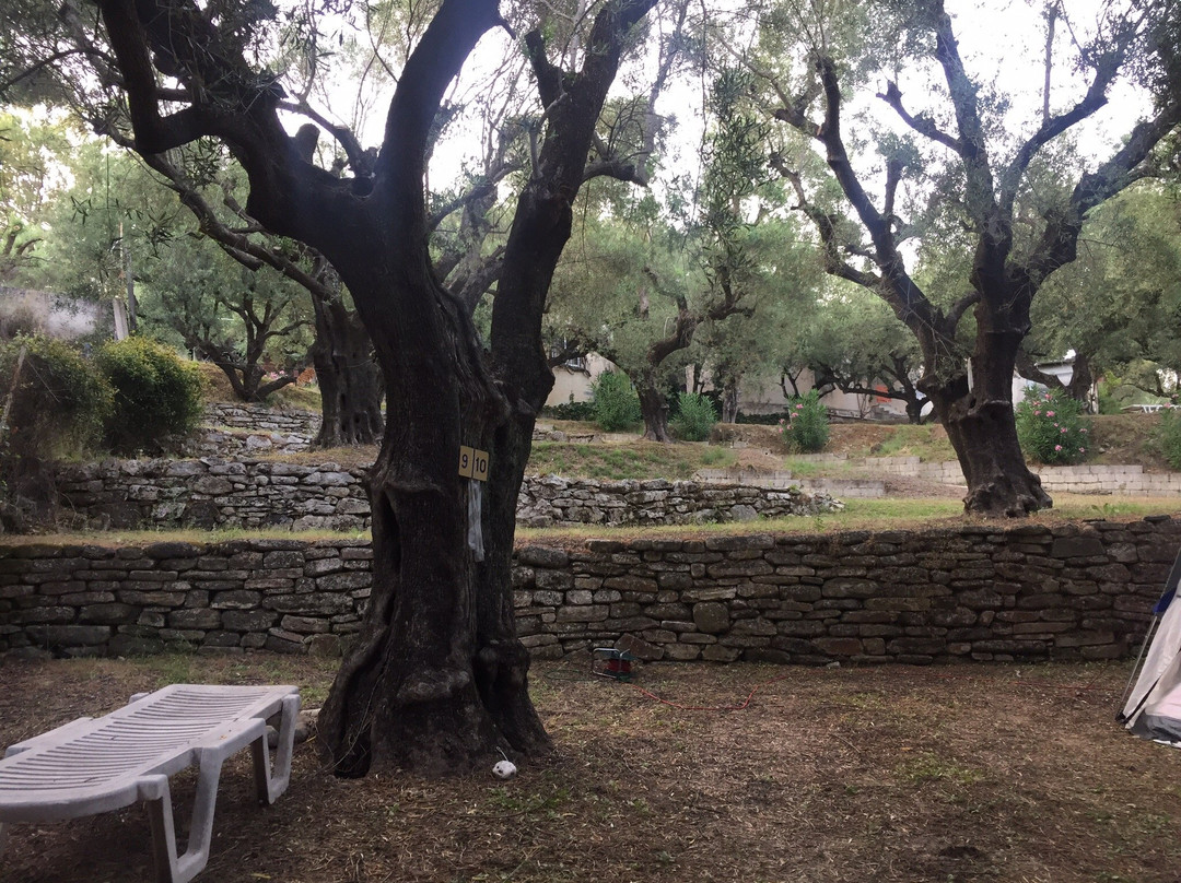 Camping Tartaruga