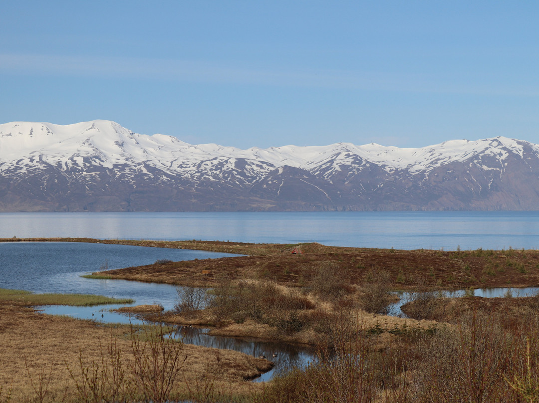 Kaldbaks-kot Cottages主图