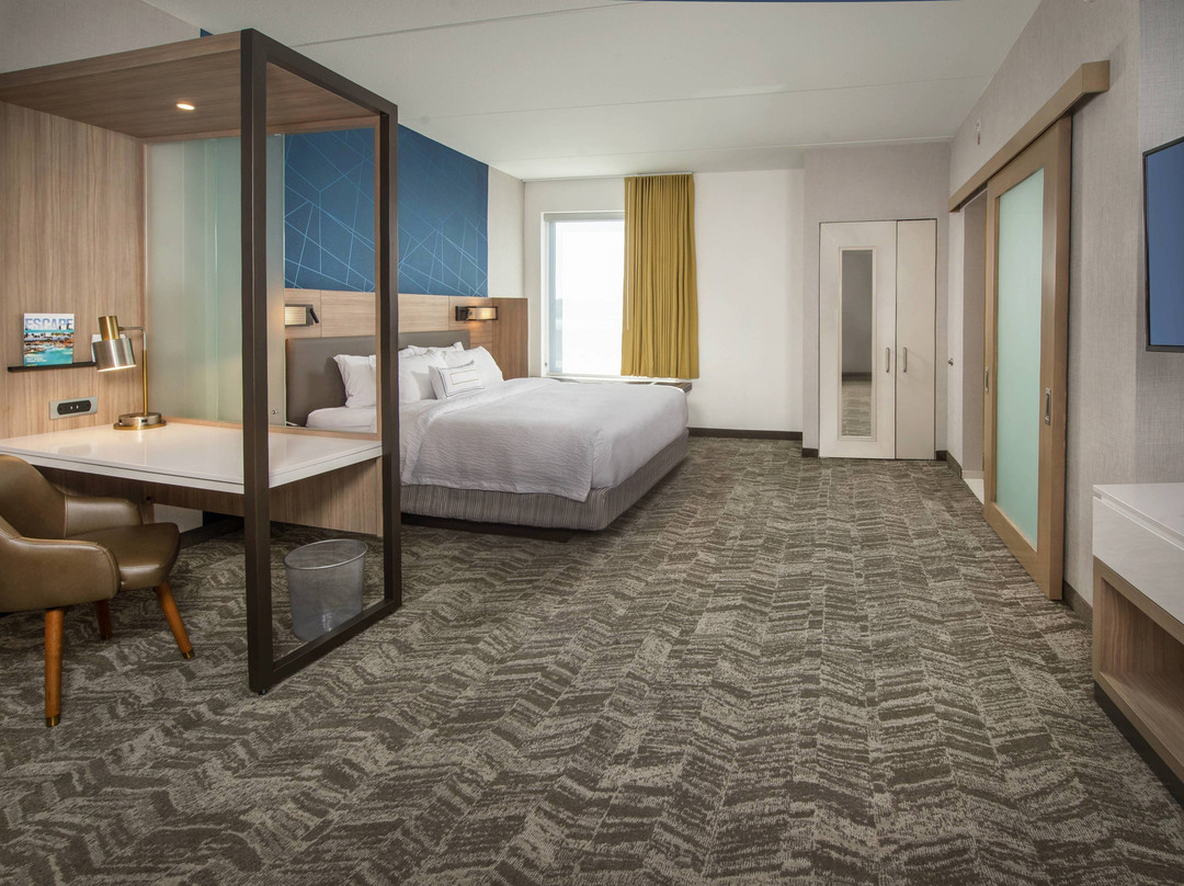 SpringHill Suites by Marriott Gainesville Haymarket主图