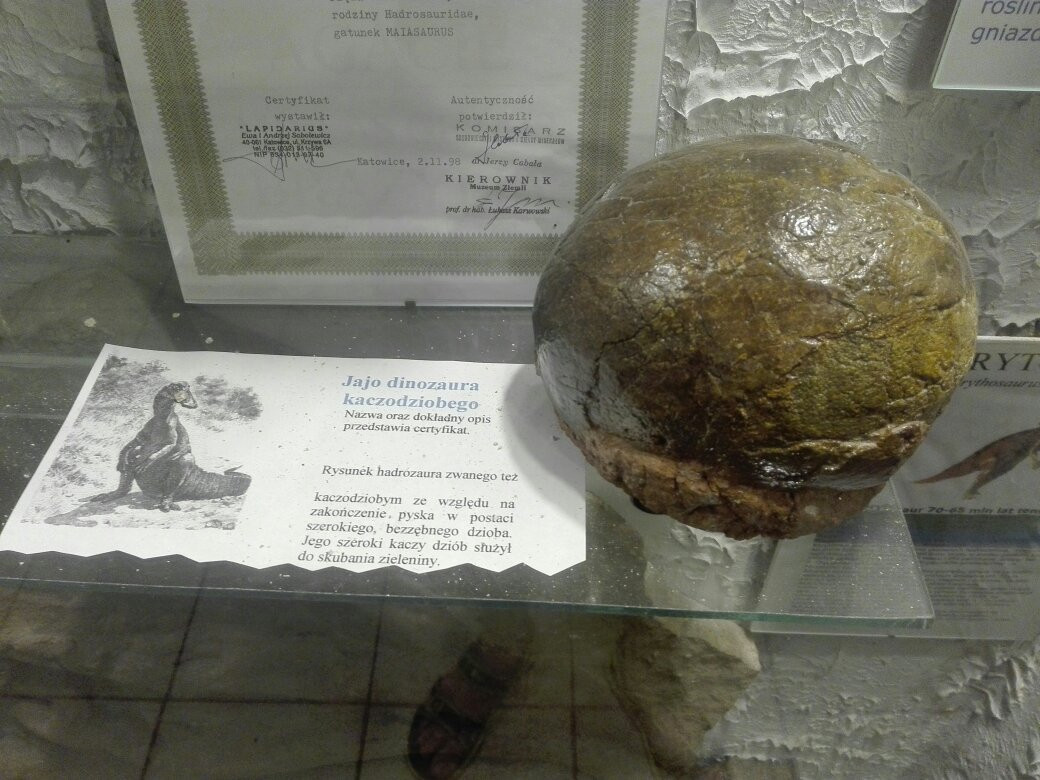 Mineralogical Museum景点图片